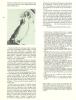 Heresies_01_046.jpg